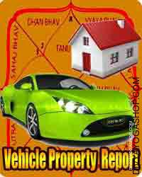 Vehicle/ Property Report