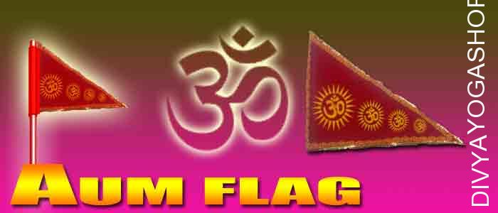 Aum flag