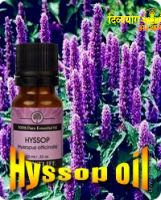 Hyssop oil