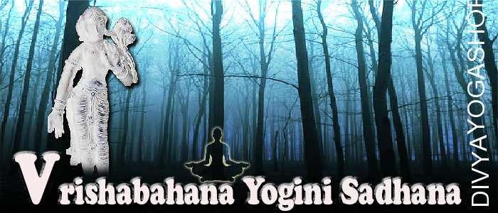 Vrishabahana yogini sadhana