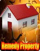 Remedies report for property