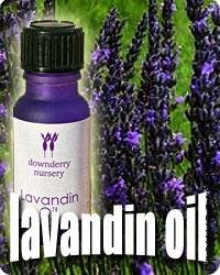 Lavandin essential oil