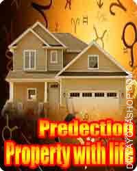 Property with life report