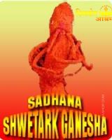 Shwetark ganesha sadhana for obstacles