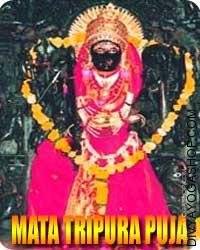 Mata Tripura puja