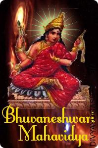 Mahavidya Bhuvaneshwri Puja