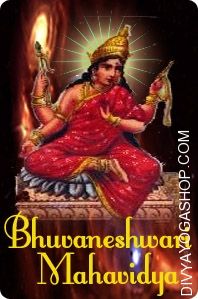 Mahavidya Bhuvaneshwri Puja