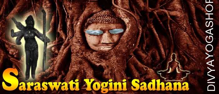 Saraswati yogini sadhana