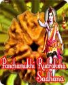 Panchamukhi Rudraksha sadhana for hidden treasure