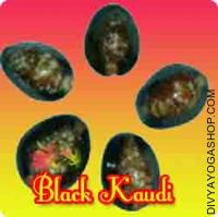 Black Kaudi or Kali Kaudi for removing negative energy