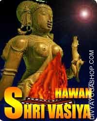 Shri Vasiya havan for attraction