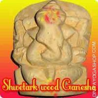 Shwetark ganesha idol for success in task