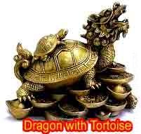 dragon-with-tortoise.jpg