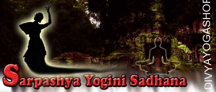 Sarpashya yogini sadhana