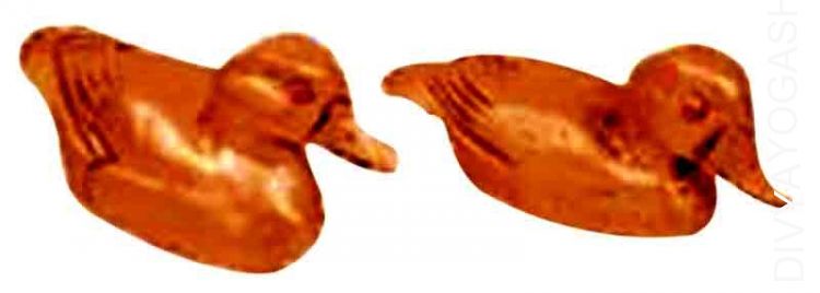 fiber-mandarin-duck.jpg