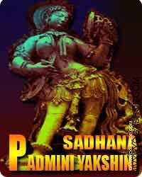 Padmini yakshini sadhana, online Padmini yakshini sadhana, Padmini