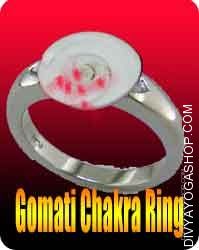 Gomti chakra silver ring