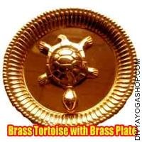 Brass Tortoise with Brass Plate