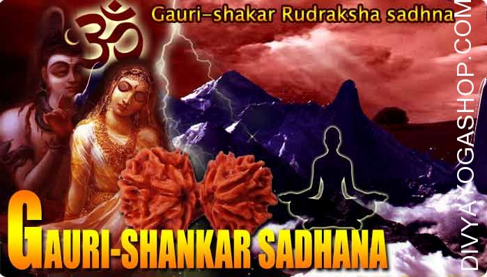 Gauri Shankar Rudraksha sadhna