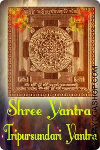 Tripur Sundari- Shree yantra