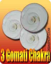 3 Gomti chakra for protection