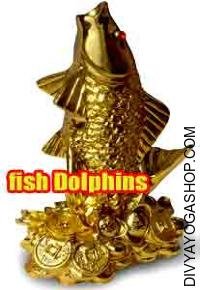 Fish dolphins for peace