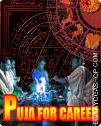 Puja for career