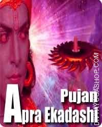 Apara ekadashi pujan