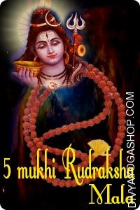 5-mukhi-rudraksha-mala.jpg