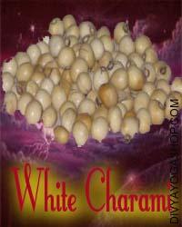 White chirami beed