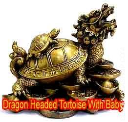dragon-headed-tortoise-with-baby.jpg