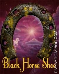 black-horse-shoe.jpg