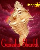 Ganesha Shankha