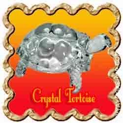 Crystal-Tortoise.jpg