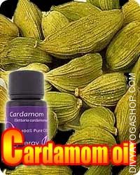 Cardamom (Elettaria Cardamomum) oil