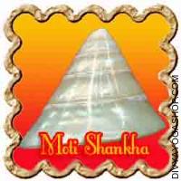 Moti Shankha