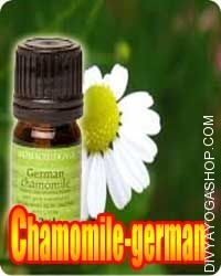 Chamomile German (Matricaria Chammomila) oil 