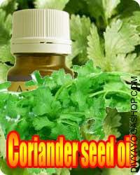 Coriander Seed (Coriandrum Sativum) oil