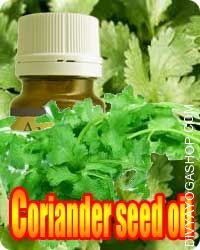 Coriander Seed (Coriandrum Sativum) oil