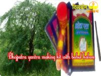 Bhojpatra yantra making set with babul kalam