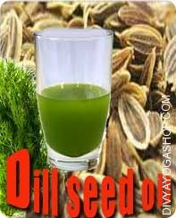 Dill Seed (Anethum Sowa) oil