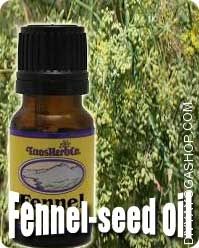 Fennel Seed (Foeniculum Vulgare) oil