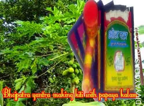 Bhojpatra yantra making set with papita tree kalam