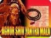 Aghor shiva yantra mala for success in tantra